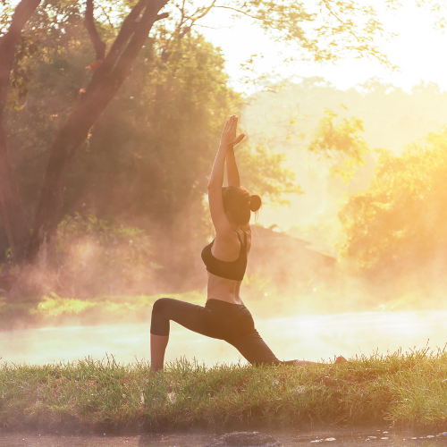 énergie force vitale